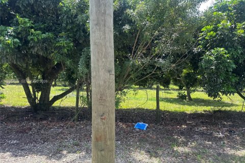 Immobilier commercial à vendre à Homestead, Floride № 2058198 - photo 25