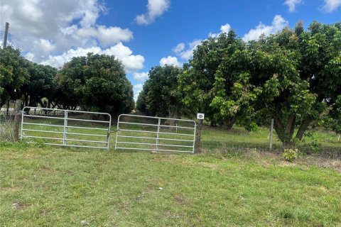 Immobilier commercial à vendre à Homestead, Floride № 2058198 - photo 6