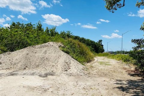 Land in Haines City, Florida № 1243682 - photo 2