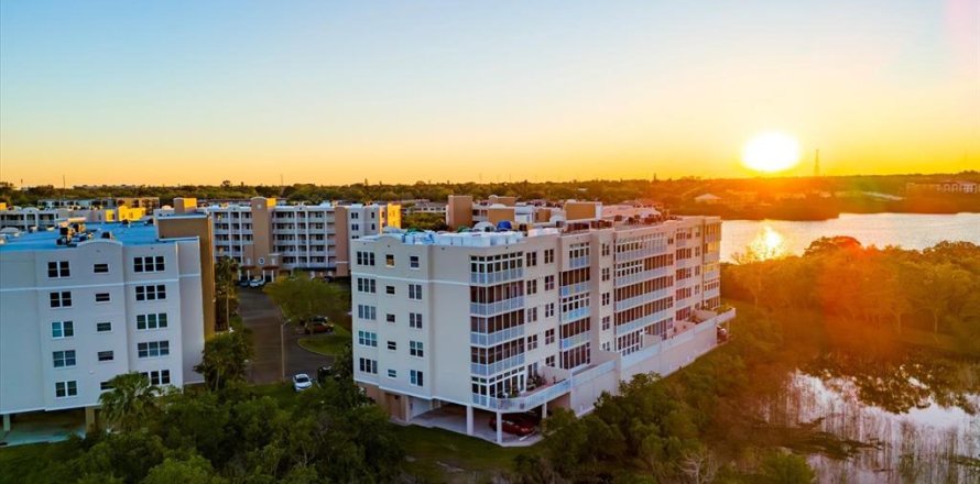 Condo à Saint Petersburg, Floride, 2 chambres № 1884948