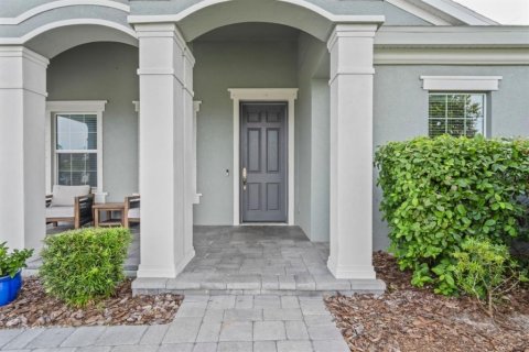 House in New Port Richey, Florida 6 bedrooms, 434.04 sq.m. № 1905468 - photo 4