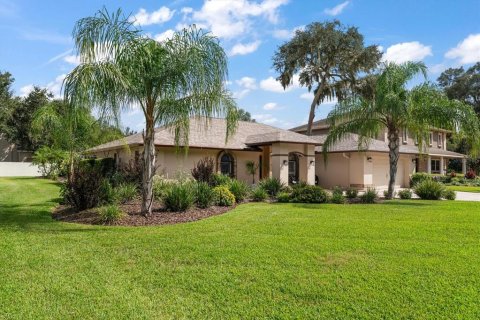 Villa ou maison à Valrico, Floride 4 chambres, 273.97 m2 № 2428912