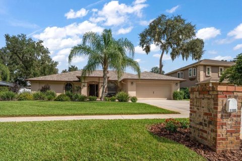 House in Valrico, Florida 4 bedrooms, 273.97 sq.m. № 2428912 - photo 4