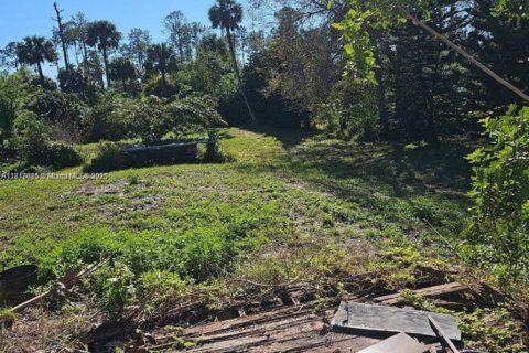 Terreno en venta en Naples, Florida № 1850384 - foto 4
