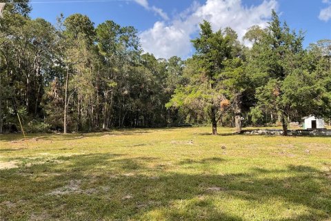 Land in Gainesville, Florida № 1577125 - photo 6