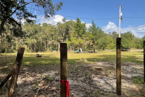 Land in Gainesville, Florida № 1577125 - photo 5