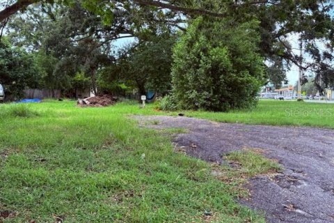 Land in Saint Petersburg, Florida № 1853250 - photo 4