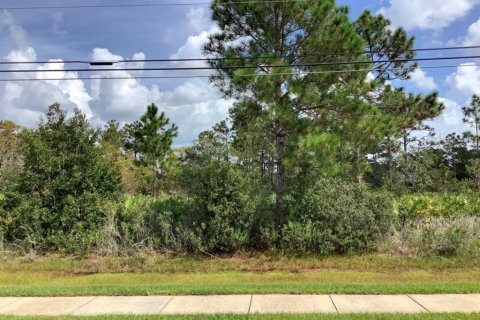 Land in Orlando, Florida № 1834692 - photo 1