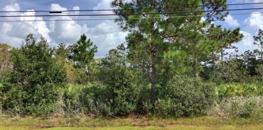 Land in Orlando, Florida № 1834692