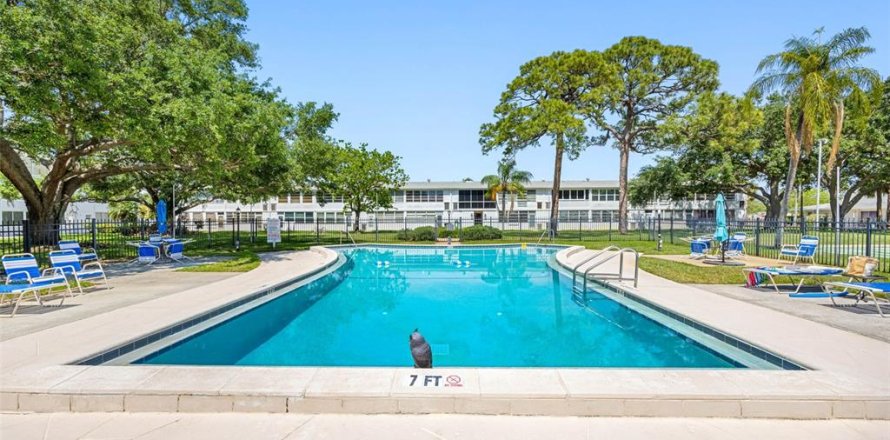 Condominio en Saint Petersburg, Florida, 1 dormitorio № 1732646
