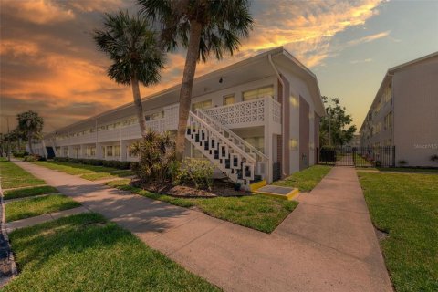 Condo in Saint Petersburg, Florida, 1 bedroom  № 1732646 - photo 30