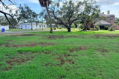 Terrain à Saint Petersburg, Floride № 2355631