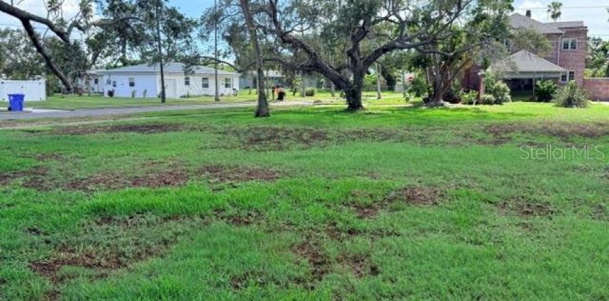 Terrain à Saint Petersburg, Floride № 2355631