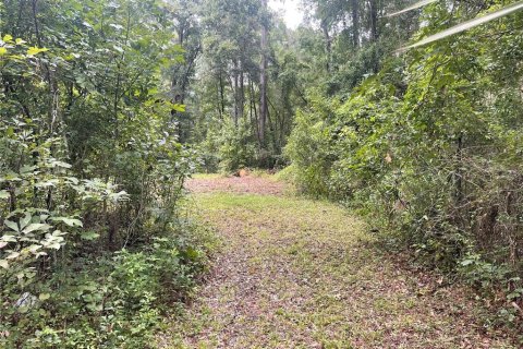 Casa en venta en Reddick, Florida, 4 dormitorios, 216.18 m2 № 1885725 - foto 26