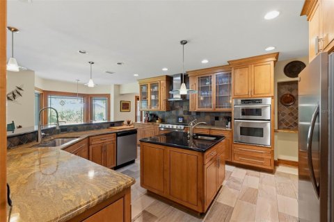 Villa ou maison à vendre à Saint Petersburg, Floride: 4 chambres, 356.37 m2 № 2113847 - photo 16