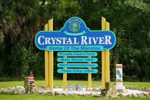 Land in Crystal River, Florida № 2160018 - photo 4