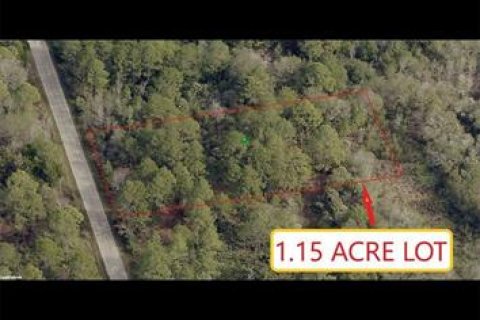 Land in Crystal River, Florida № 2160018