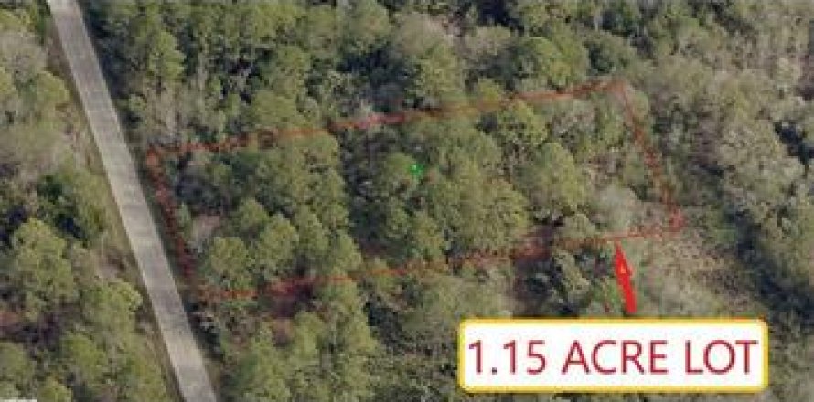 Land in Crystal River, Florida № 2160018