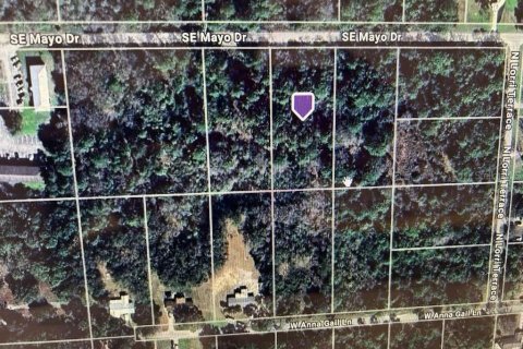 Land in Crystal River, Florida № 2160018 - photo 2