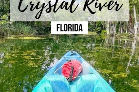 Land in Crystal River, Florida № 2160018 - photo 5