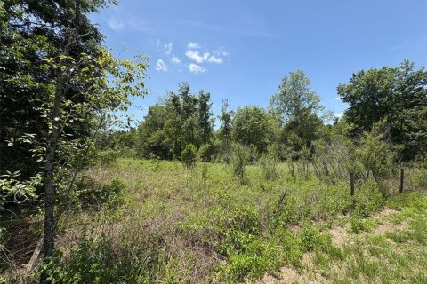 Terreno en venta en Dade City, Florida № 1721836 - foto 5