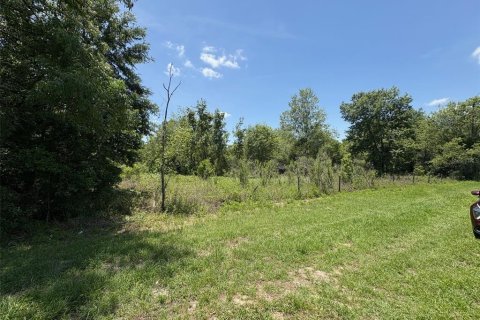 Terreno en venta en Dade City, Florida № 1721836 - foto 4