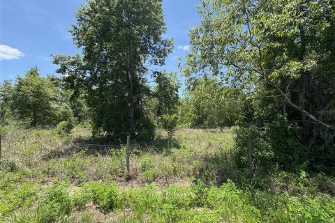 Terreno en venta en Dade City, Florida № 1721836 - foto 8
