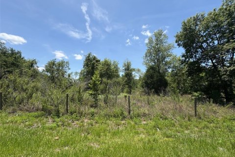 Terreno en venta en Dade City, Florida № 1721836 - foto 6