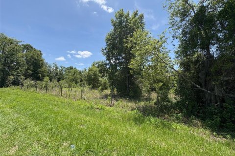 Terreno en venta en Dade City, Florida № 1721836 - foto 7