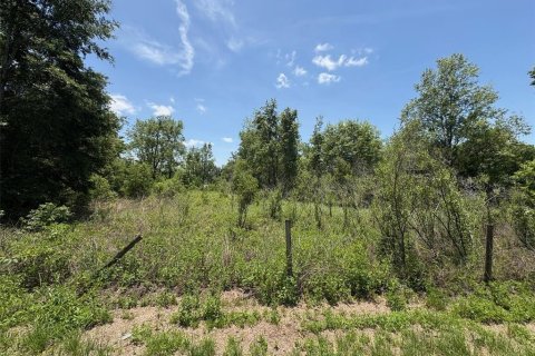 Terreno en venta en Dade City, Florida № 1721836 - foto 1