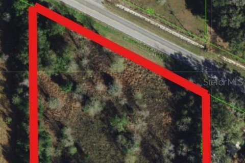Terreno en venta en Dade City, Florida № 1721836 - foto 2