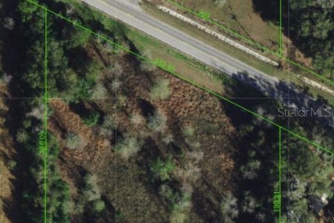 Terreno en venta en Dade City, Florida № 1721836 - foto 3
