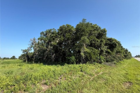 Terrain à vendre à Ocala, Floride № 2150591 - photo 4