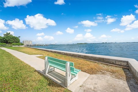 Condo in Miami Shores, Florida, 3 bedrooms  № 2271282 - photo 18