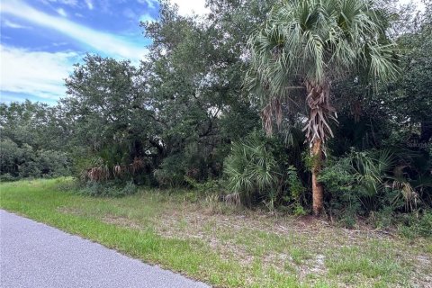 Land in Port Charlotte, Florida № 2161309 - photo 4