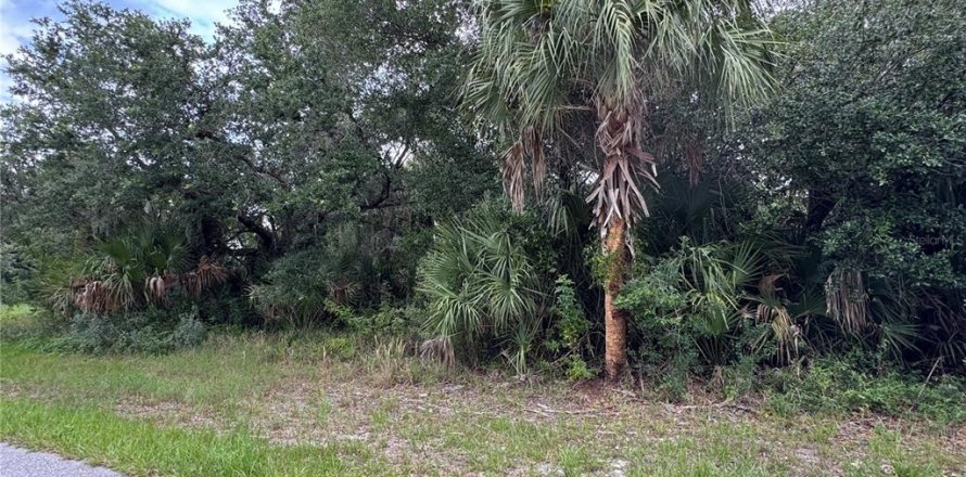 Land in Port Charlotte, Florida № 2161309