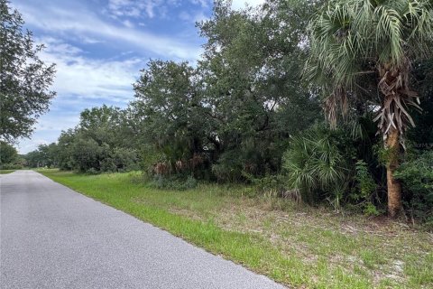 Land in Port Charlotte, Florida № 2161309 - photo 3