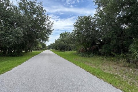 Land in Port Charlotte, Florida № 2161309 - photo 2