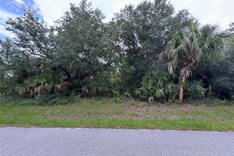 Land in Port Charlotte, Florida № 2161309 - photo 7