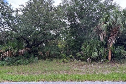 Land in Port Charlotte, Florida № 2161309 - photo 6