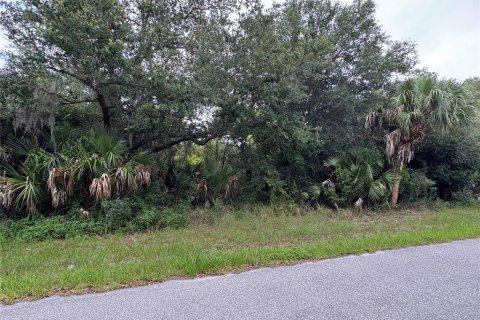 Land in Port Charlotte, Florida № 2161309 - photo 5