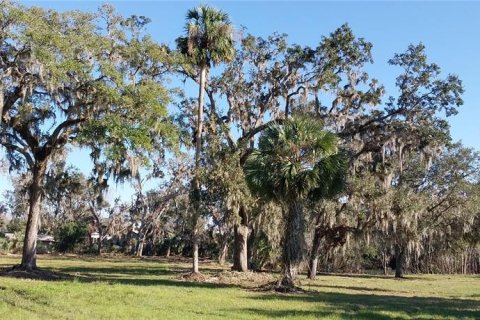 Land in Riverview, Florida № 2273114 - photo 15