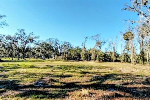 Land in Riverview, Florida № 2273114 - photo 7