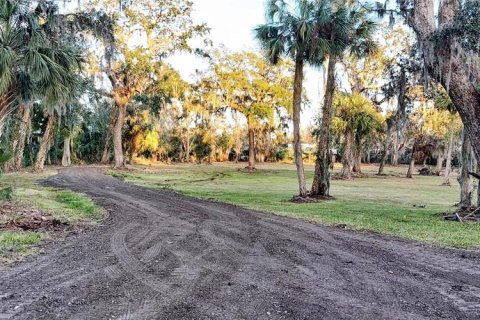 Land in Riverview, Florida № 2273114 - photo 2