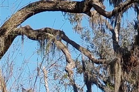 Land in Riverview, Florida № 2273114 - photo 6