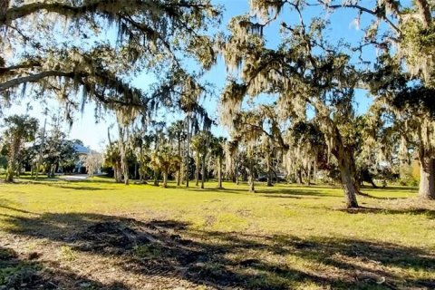 Land in Riverview, Florida № 2273114 - photo 8