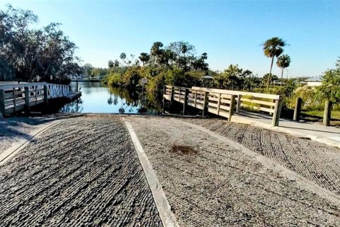 Land in Riverview, Florida № 2273114 - photo 18