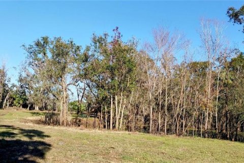 Land in Riverview, Florida № 2273114 - photo 11