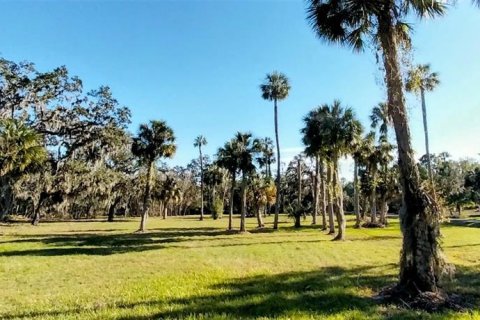Terrain à Riverview, Floride № 2273114