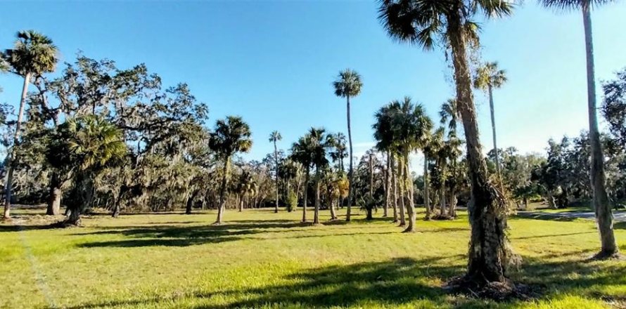 Land in Riverview, Florida № 2273114